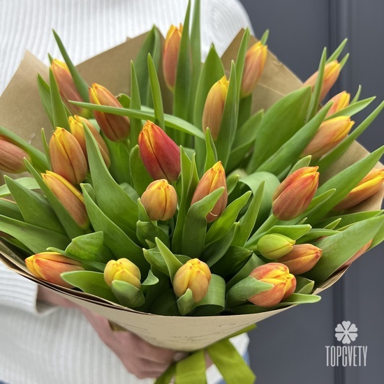 Букет из 25 тюльпанов 