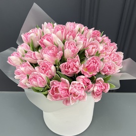 Композиция из 35 розовых пионовидных тюльпанов в коробке