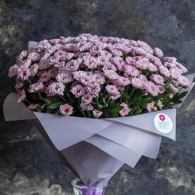 Букет из 21 розовой кустовой хризантемы Сантини 