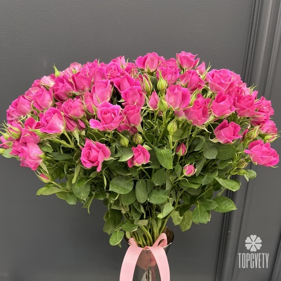 Букет из 25 малиновых кустовых роз 50см