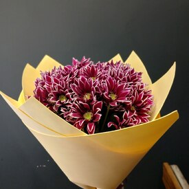 Букет из 9 кустовых хризантем