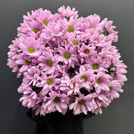 Букет из 9 розовых кустовых хризантем 