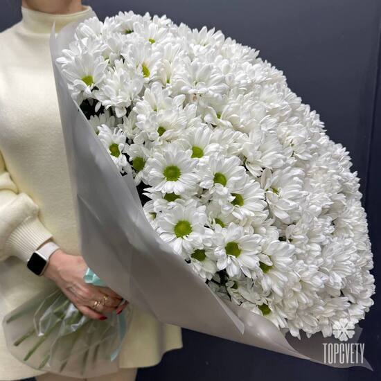 Букет из  51 кустовой хризантемы  Бакарди