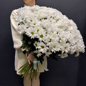 Букет из 35 кустовых хризантем Бакарди