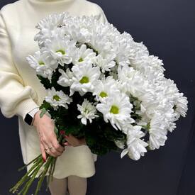 Букет из 15 кустовых хризантем Бакарди