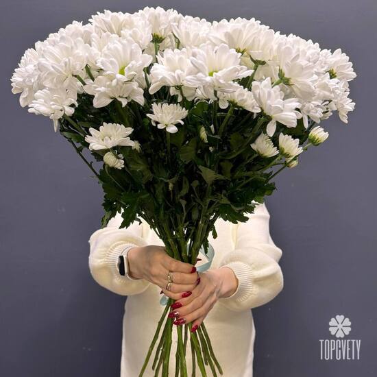 Букет из 15 кустовых хризантем Бакарди