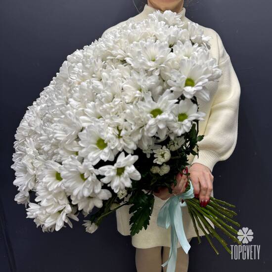 Букет из 25 кустовых хризантем Бакарди