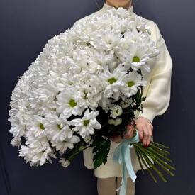Букет из 25 кустовых хризантем Бакарди