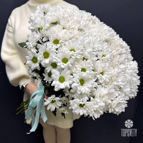 Букет из 25 кустовых хризантем Бакарди