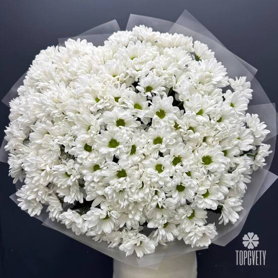 Букет из 25 кустовых хризантем Бакарди