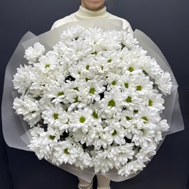  Букет из 15 кустовых хризантем Бакарди