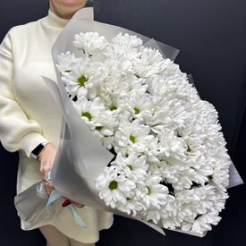  Букет из 15 кустовых хризантем Бакарди