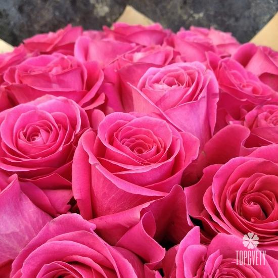 Букет из 55 розовых роз Пинк Флойд 70см