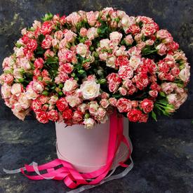Композиция из 75 кустовых роз в коробке
