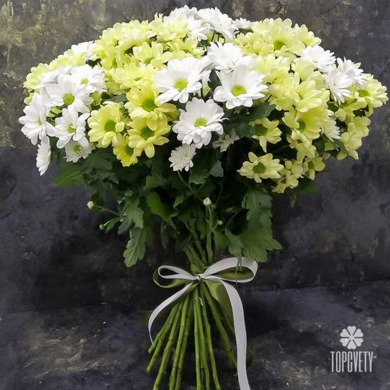 Букет из 15 кустовых хризантем микс