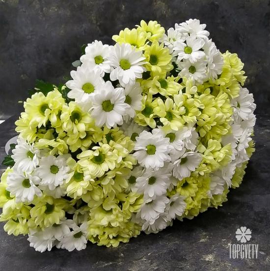Букет из 15 кустовых хризантем микс