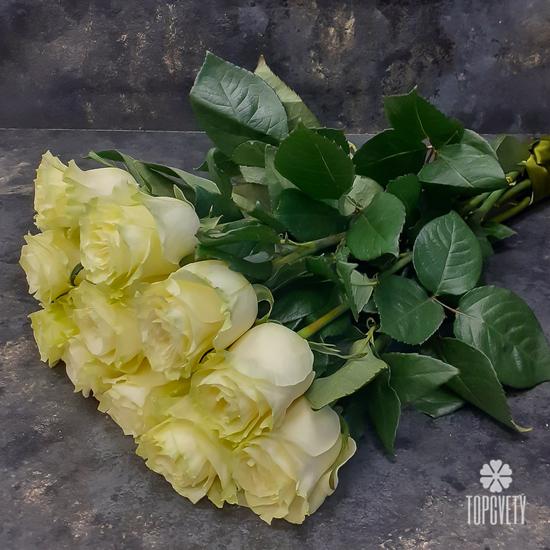 Букет из 11 белых роз Мондиаль 70см
