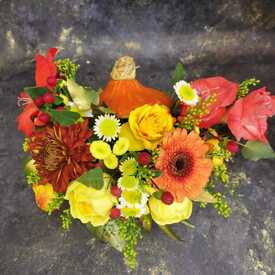 Тыква №7