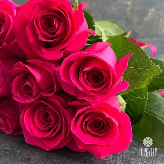 Букет из 15 розовых роз Пинк Флойд 50см