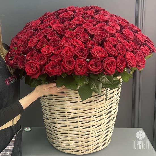Композиция из 135 красных роз в корзине
