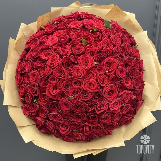 Букет из 151 красной розы Ред Наоми 70см