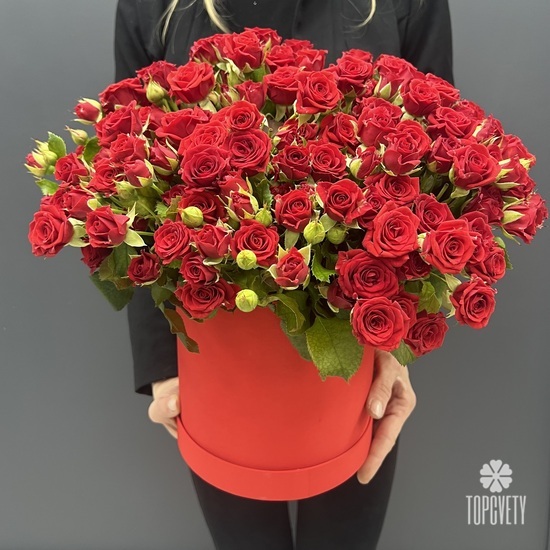 Композиция из 51 красная кустовая роза в коробке