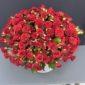 Композиция из 51 кустовой розы в коробке