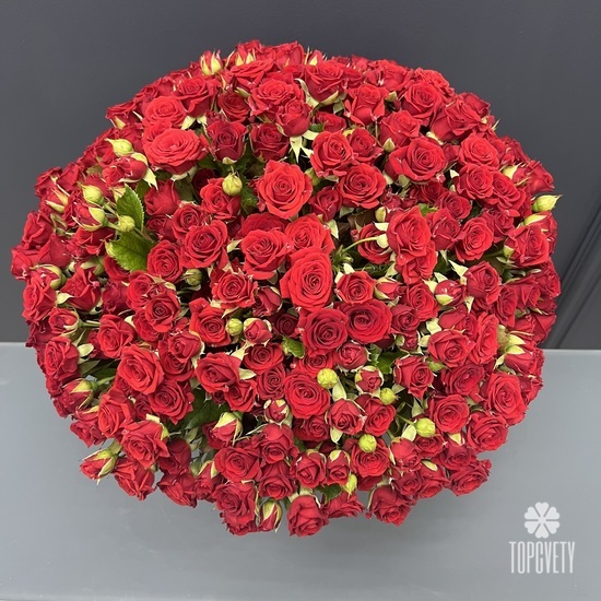 Композиция из 101 красной кустовой розы в коробке