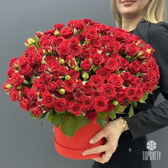 Композиция из 101 красной кустовой розы в коробке