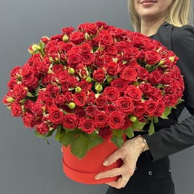 Композиция из 101 красной кустовой розы в коробке