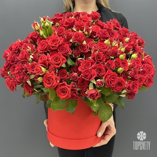 Композиция из 101 красной кустовой розы в коробке