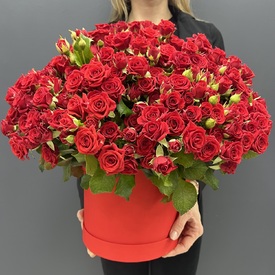 Композиция из 101 красной кустовой розы в коробке