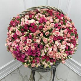 Композиция из  501 кустовой розы в плетеной корзине
