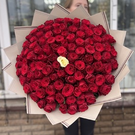 Букет из 101 белой и красной розы Кения 40см